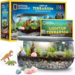 Light Up Terrarium Kit